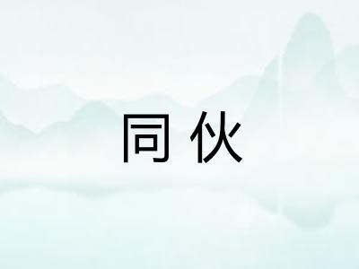 同伙 同伙