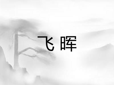 飞晖 飞晖