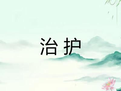 治护 治护