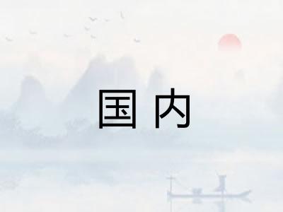 国内 国内