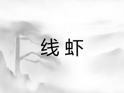 线虾 线虾