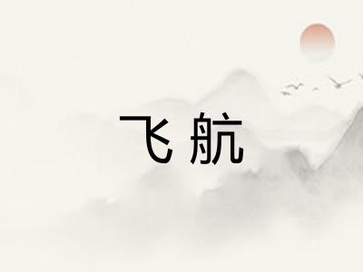 飞航 飞航