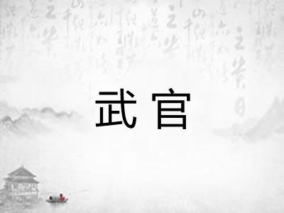 武官 武官