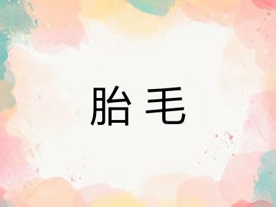 胎毛 胎毛