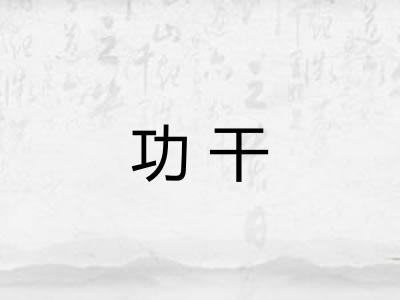 功干 功干