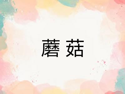 蘑菇 蘑菇