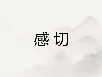 感切 感切