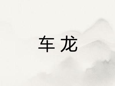 车龙