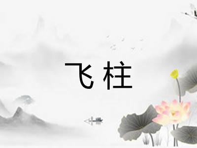 飞柱 飞柱