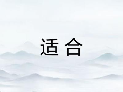 适合