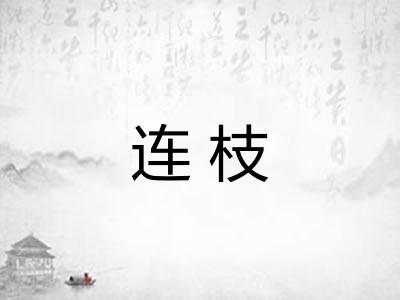 连枝 连枝
