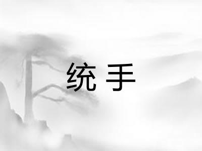 统手