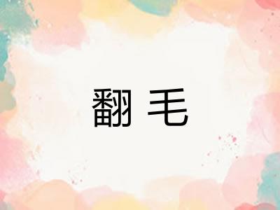 翻毛