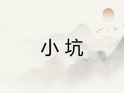 小坑