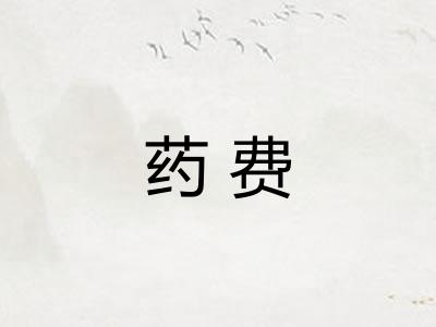 药费 药费
