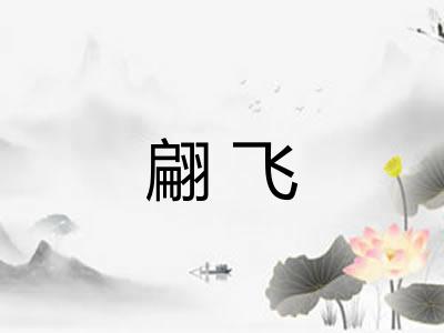 翩飞 翩飞