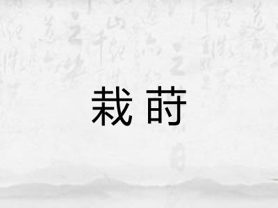 栽莳 栽莳