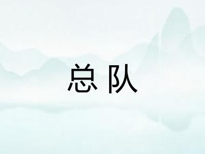 总队
