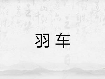 羽车 羽车