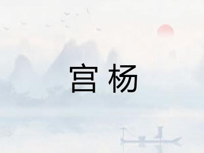宫杨 宫杨