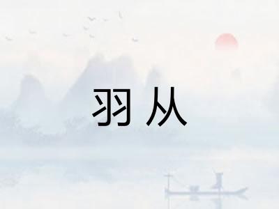 羽从 羽从