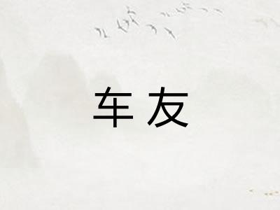 车友 车友