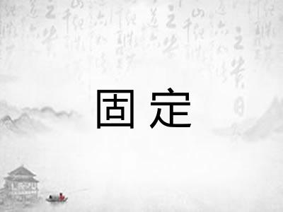 固定 固定