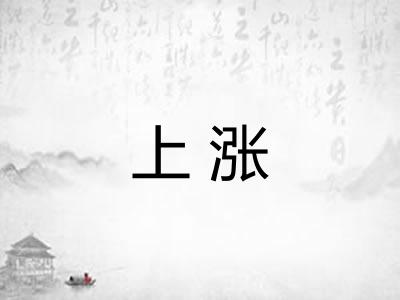 上涨 上涨