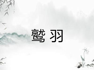 鹫羽 鹫羽