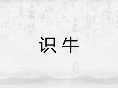 识牛 识牛