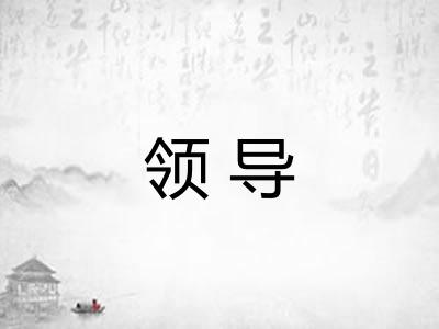 领导 领导