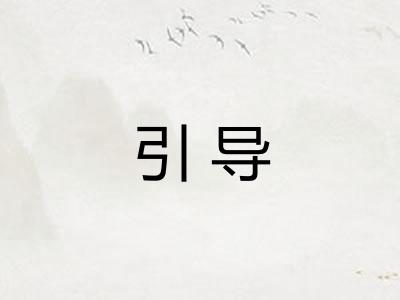 引导 引导