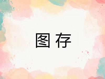 图存 图存
