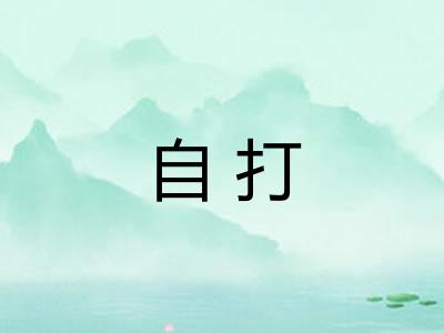 自打 自打