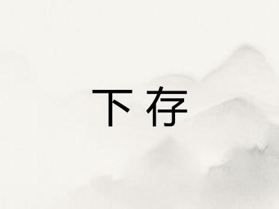 下存 下存