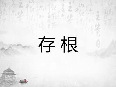 存根 存根