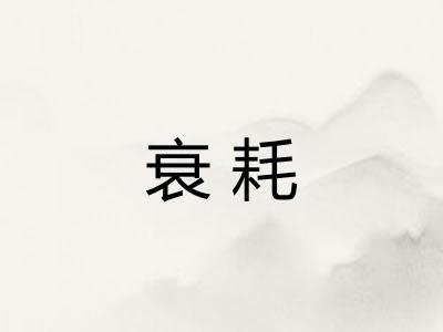 衰耗