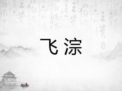 飞淙 飞淙