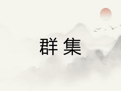 群集 群集