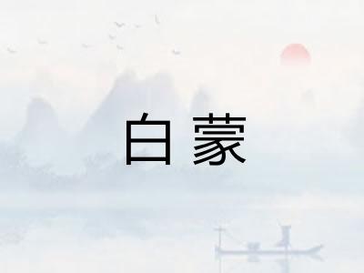 白蒙