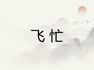 飞忙 飞忙