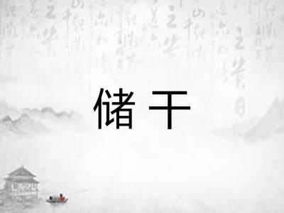 储干