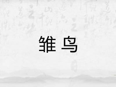 雏鸟 雏鸟