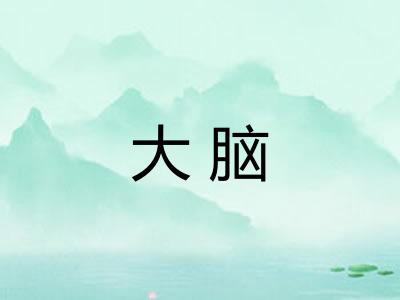 大脑 大脑