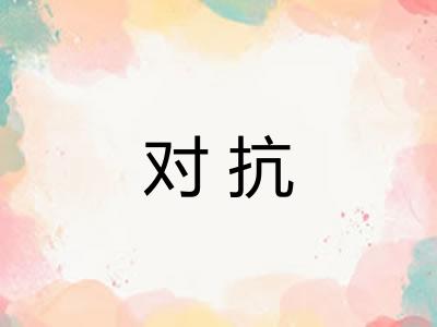 对抗 对抗