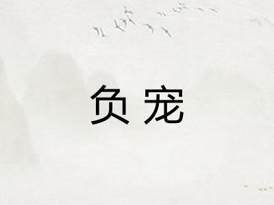 负宠