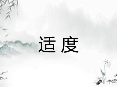 适度