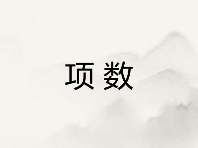 项数