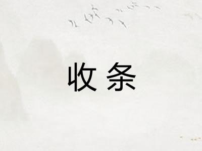 收条 收条