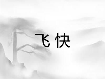 飞快 飞快